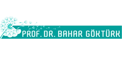 Prof. Dr. Bahar Göktürk
